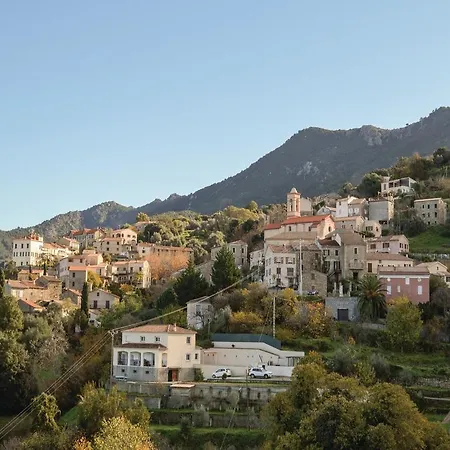 Διαμέρισμα Studio In Calcatoggio